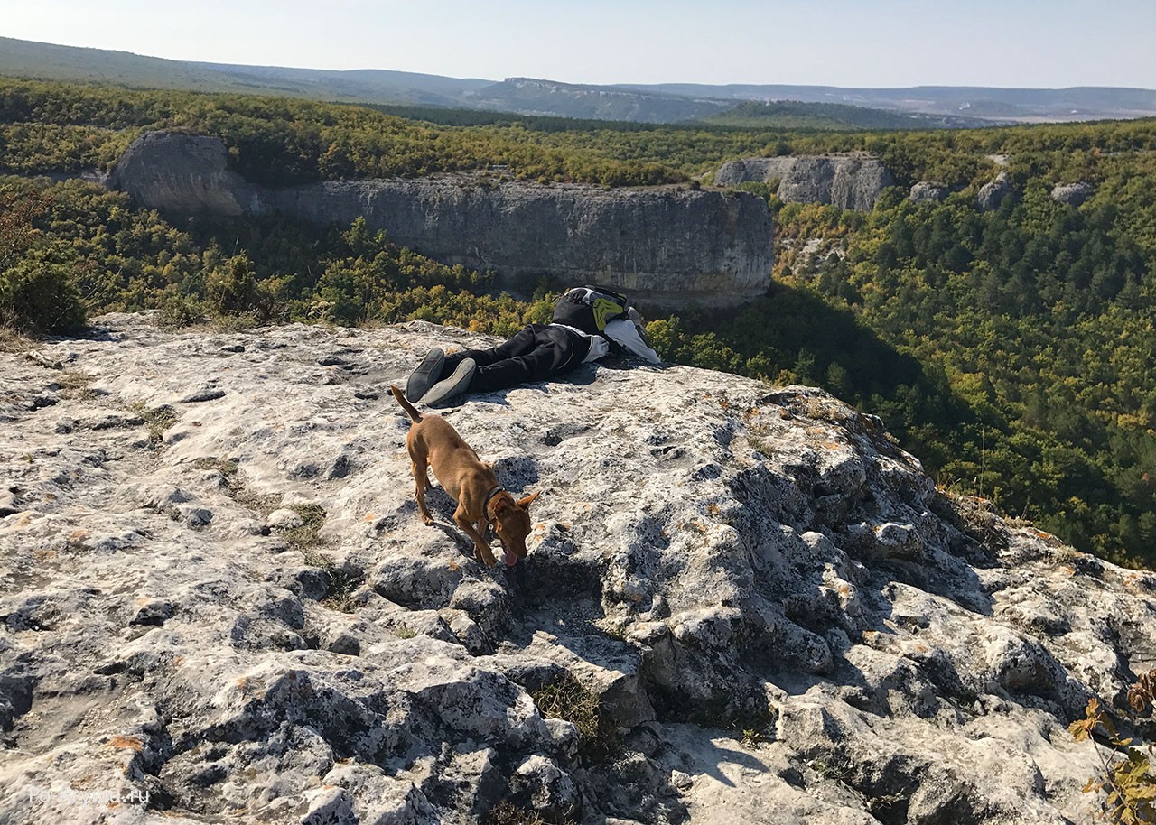 Крым, Бахчисарай, горы, собака.